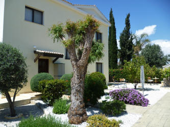 Peaceful Rear Garden